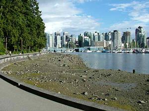Seawall - Vancouver, Kanada